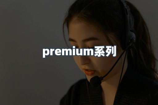 premium系列