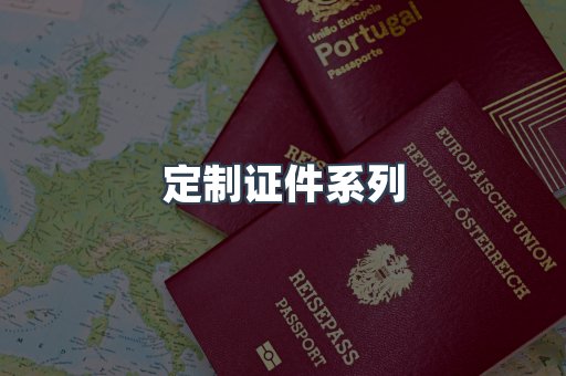 定制证件系列